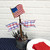 The Round Top Collection - American Flag Finial