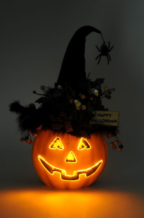 Karen Didion - Lighted Fiber Optic Pumpkin