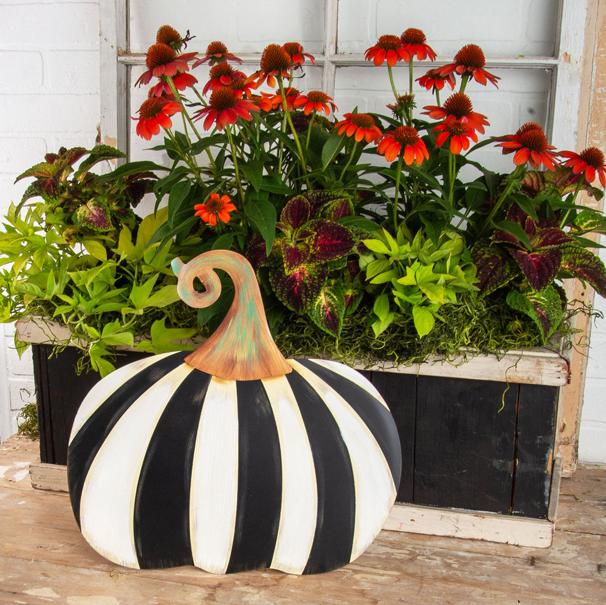 The Round Top Collection - Short Striped Pumpkin