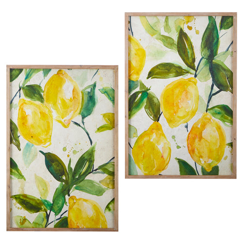 RAZ - 36" LEMON BRANCH FRAMED WOOD PRINT (Two Styles to Choose From)