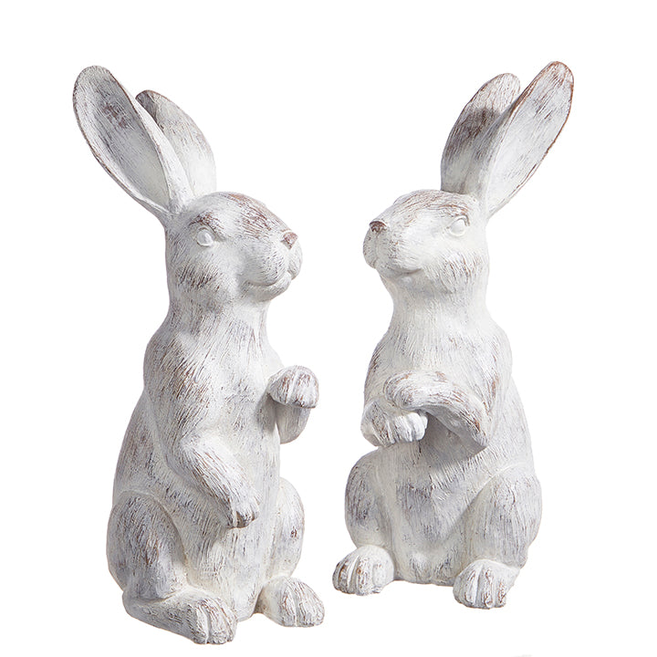 RAZ - 12.25" WHITEWASH RABBIT (Two Styles to Choose From)