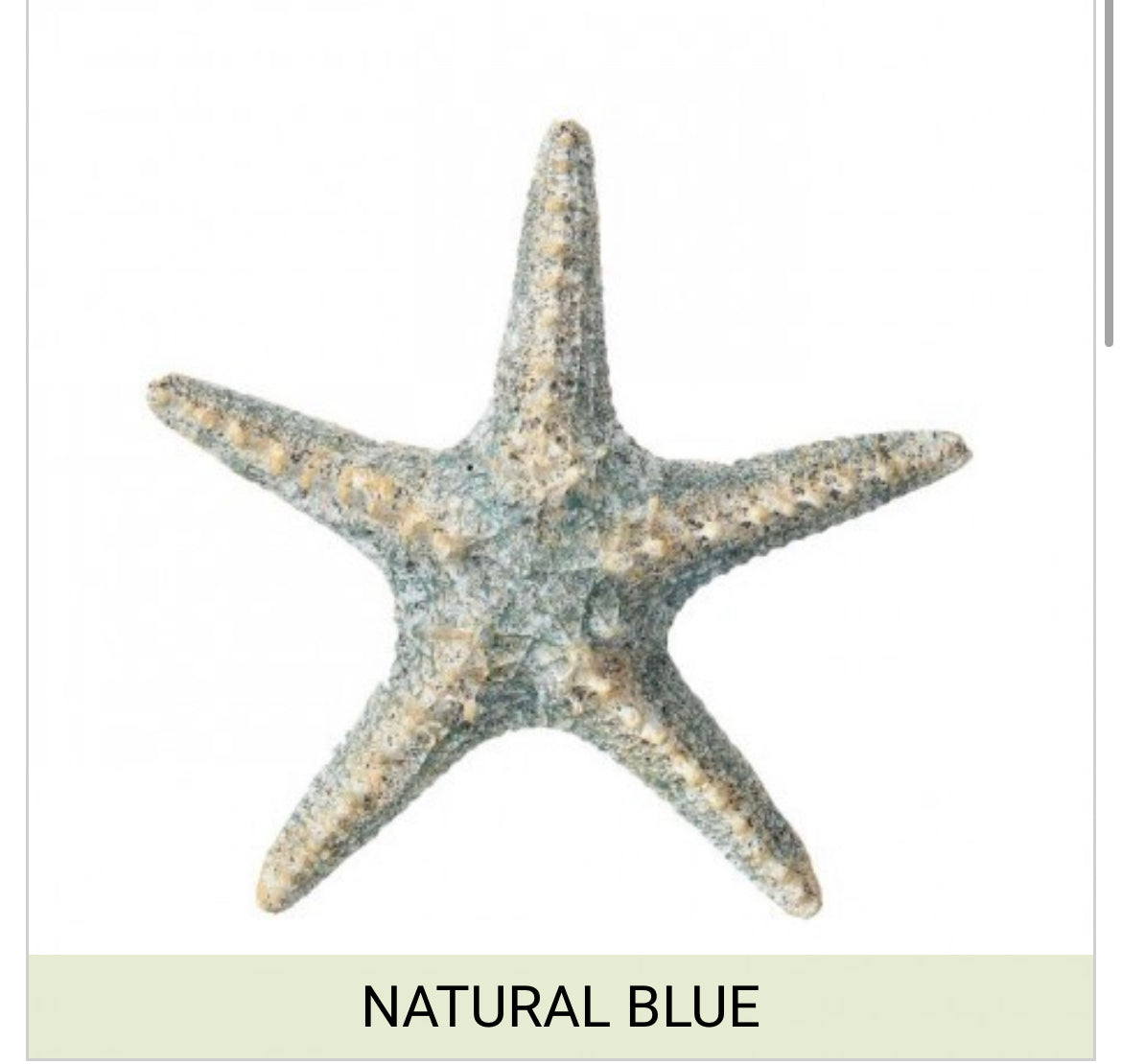 Regency - RESIN STARFISH PLAQUE 8" S