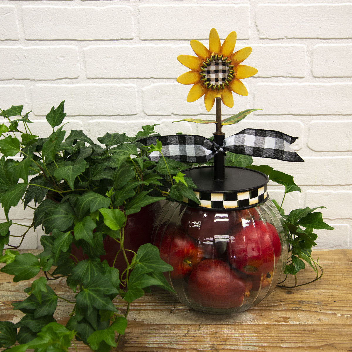 The Round Top Collection - Celebrate Every Day Checked Bubble Jar