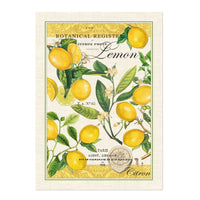 Michel Design Works - Lemon Basil Kitchen Towel