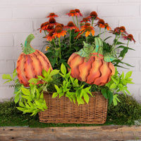 The Round Top Collection - Small Classic Orange Pumpkins (Round or Oblong)