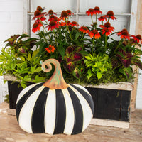 The Round Top Collection - Short Striped Pumpkin
