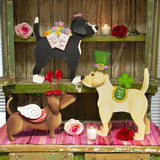 The Round Top Collection - Dress-Up Rescue Dog