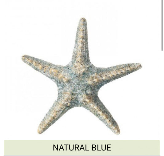 Regency - RESIN STARFISH PLAQUE 8" S