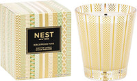 NEST - Birchwood Pine Classic Candle 8.1oz